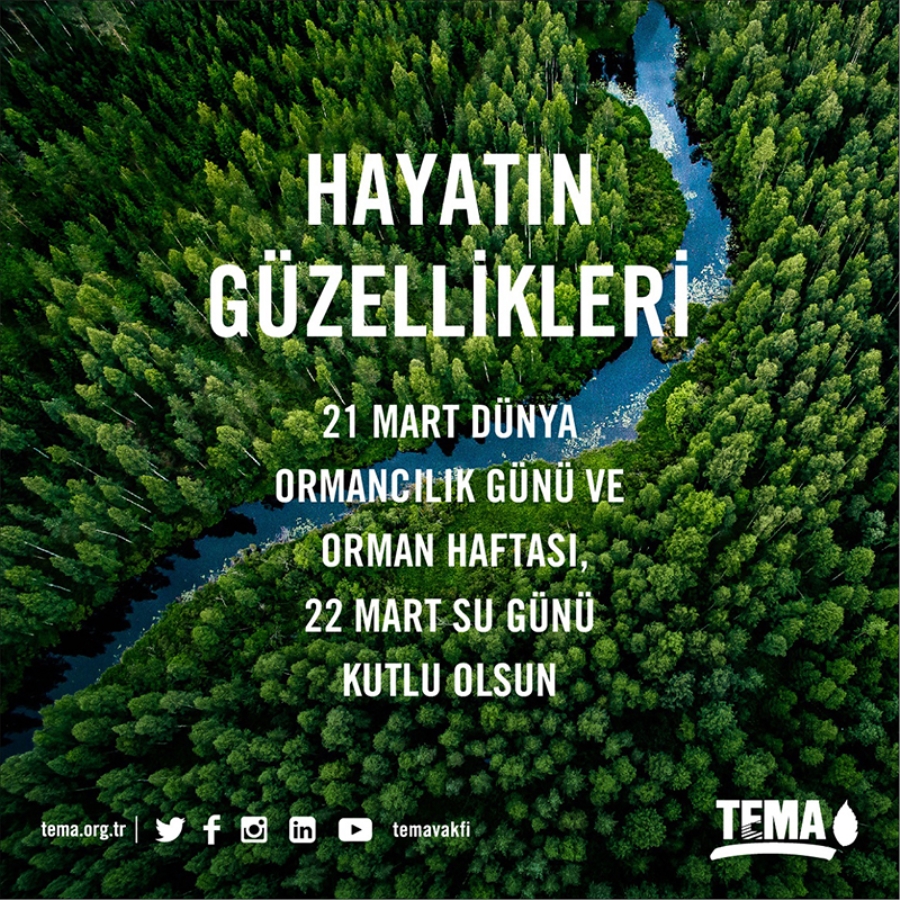 TEMA