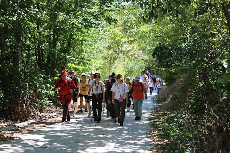 Mysia Yolları